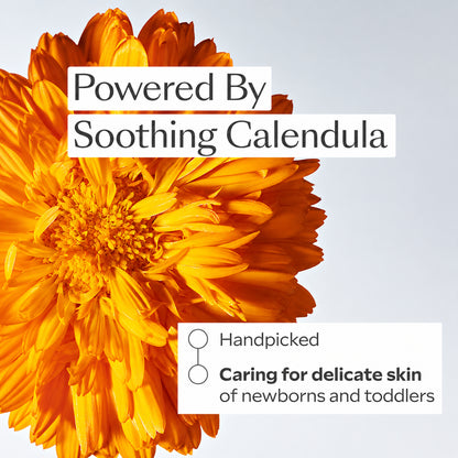 Calendula Diaper Cream - 75 mL / 2.5 fl oz